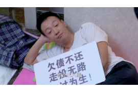 康平融资清欠服务